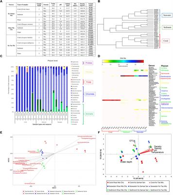 Microbial and Small Eukaryotes Associated With Reefs in the Upper Gulf of Thailand